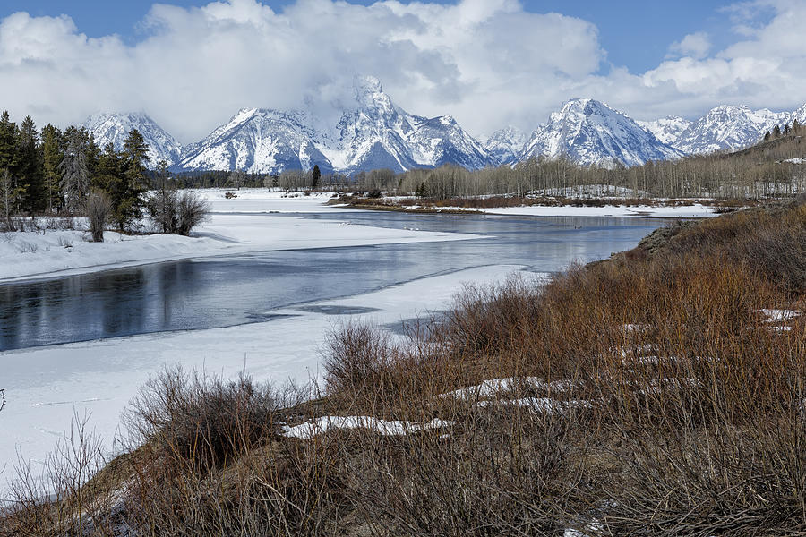 Grand Tetons from Oxbow Bend Photograph by Belinda Greb