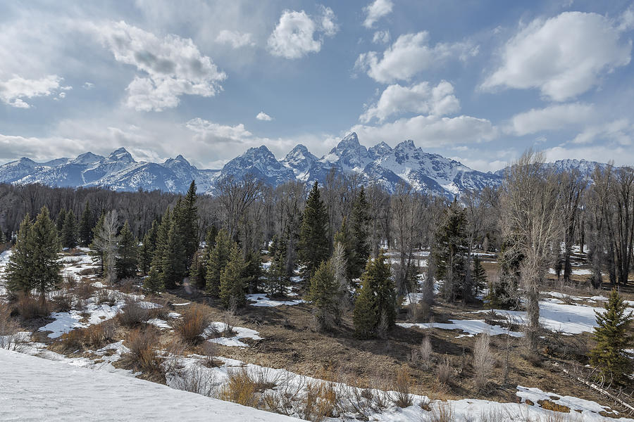 Grand Tetons from Schwabacher Road Photograph by Belinda Greb