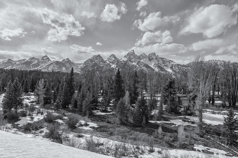 Grand Tetons from Schwabacher Road BW Photograph by Belinda Greb