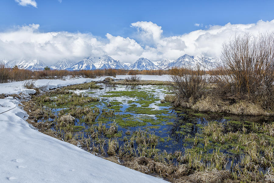 Grand Tetons from Willow Flats in Early April Photograph by Belinda Greb
