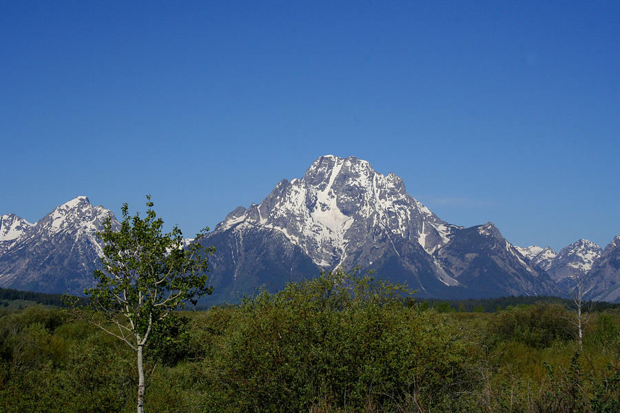 Grand Tetons M5098 Photograph by Mary Gaines