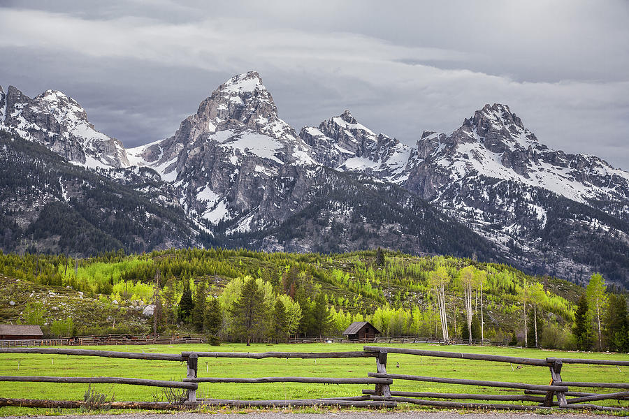 Grand Tetons Photograph by Michael Just