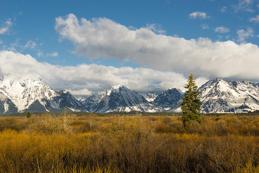 Grand Tetons Photograph by Mike Evangelist