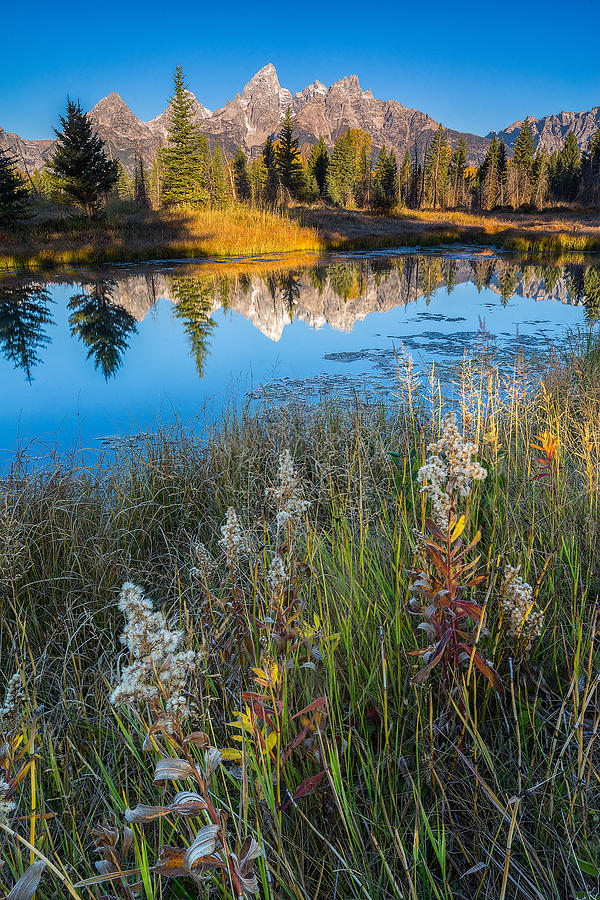 Wyoming Photograph - Grand Teton National Park - Schawbachers Landing by Jason Penland Wyoming Photograph - Grand Teton National Park - Schawbachers Landing by Jason Penland