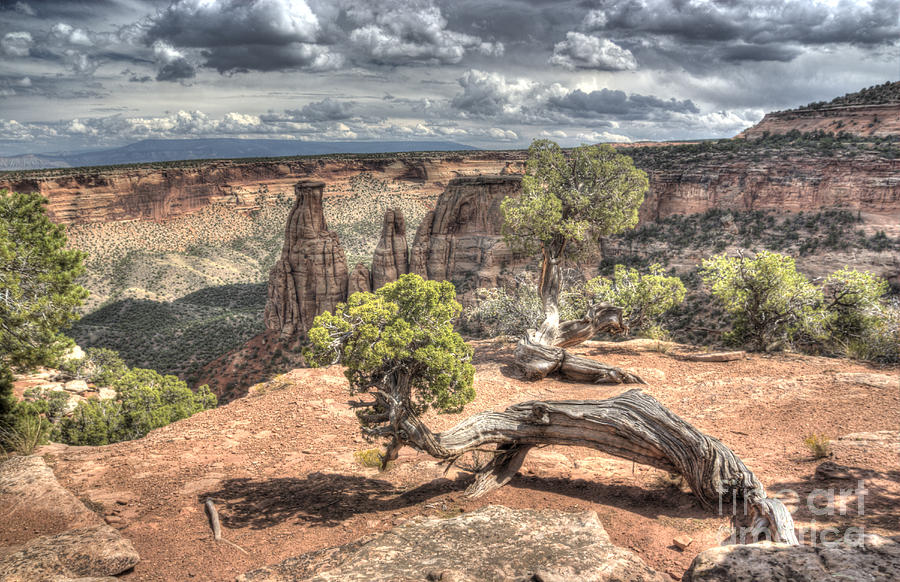 Grand View I Photograph by ELDavis Photography