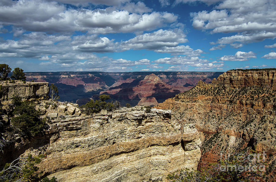 Grand Canyon National Park Photograph - Grand Vista by Stephen Whalen