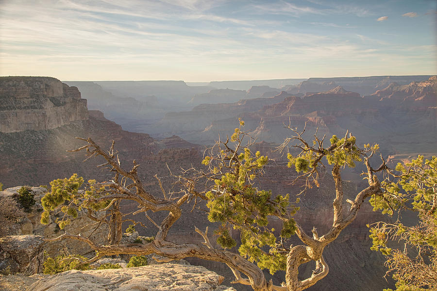 Grand vistas of the southwest Photograph by Kunal Mehra