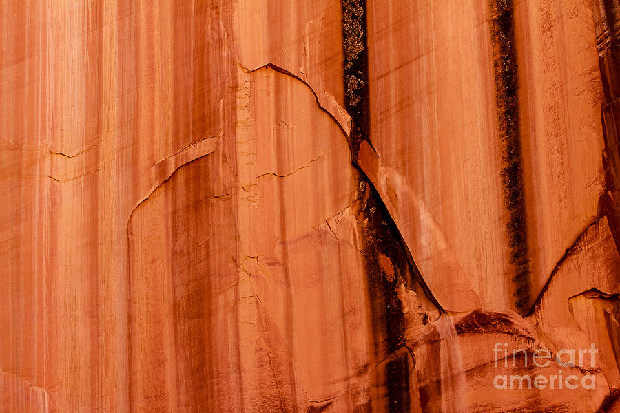 Grand Wash Canyon Wall Photograph by Ben Graham