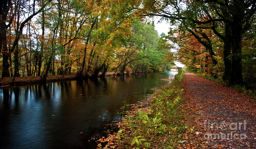 Grand Western Canal At Westcott Photograph By Rob Hawkins Fine Art America