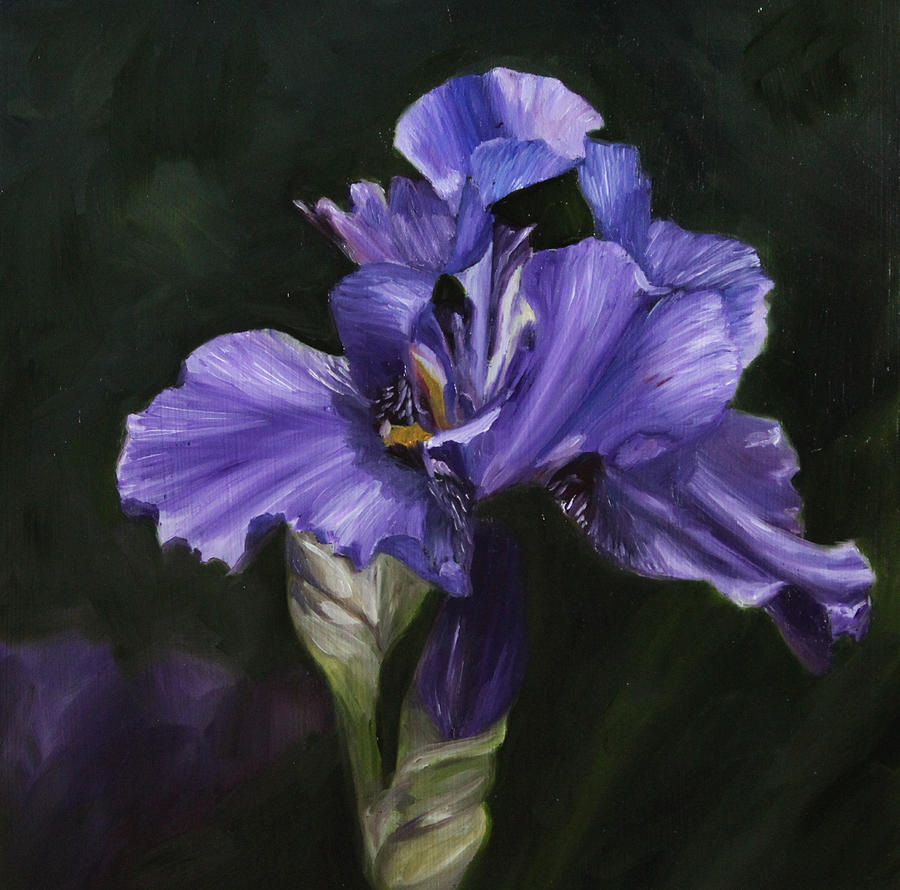 Grandmas Iris Painting by Cindy Cradler