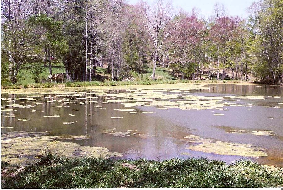 Grandpa Photograph - Grandpas pond by Lee Hartsell Grandpa Photograph - Grandpas pond by Lee Hartsell