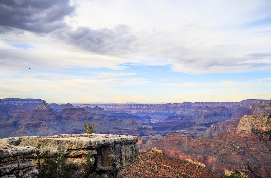 Grand Canyon National Park Photograph - Grandview Point 3 by The Ecotone