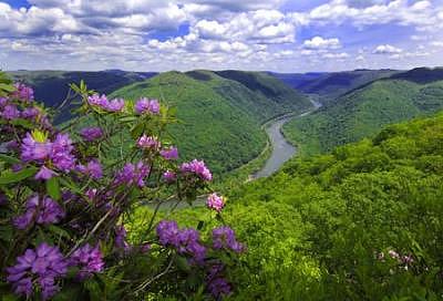 grandview-spring--new-river-gorge-national-park--west-virginia-steve-shaluta-a5269.jpg