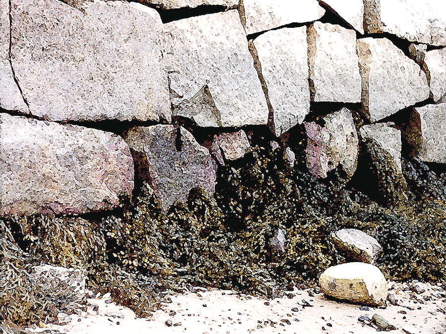 Granite and Seaweed Painting by Paul Sachtleben
