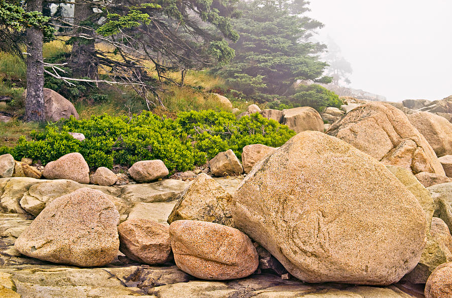 Granite Boulders Acadia Photograph by Peter J Sucy