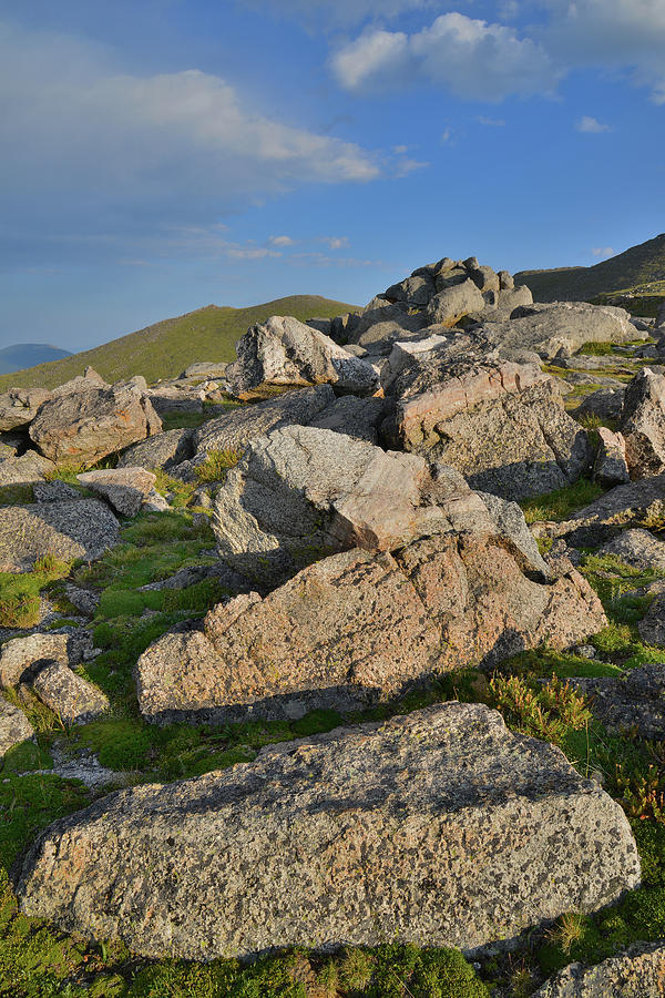 Granite Boulders Along Mt. Evans Scenic Byway Photograph by Ray Mathis