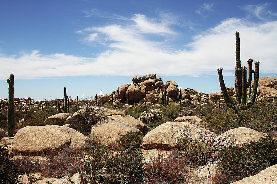 Granite Boulders And Saguaros  Photograph by Tom Janca