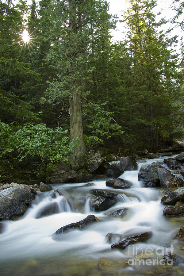 Nature Photograph - Granite Creek by Idaho Scenic Images Linda Lantzy