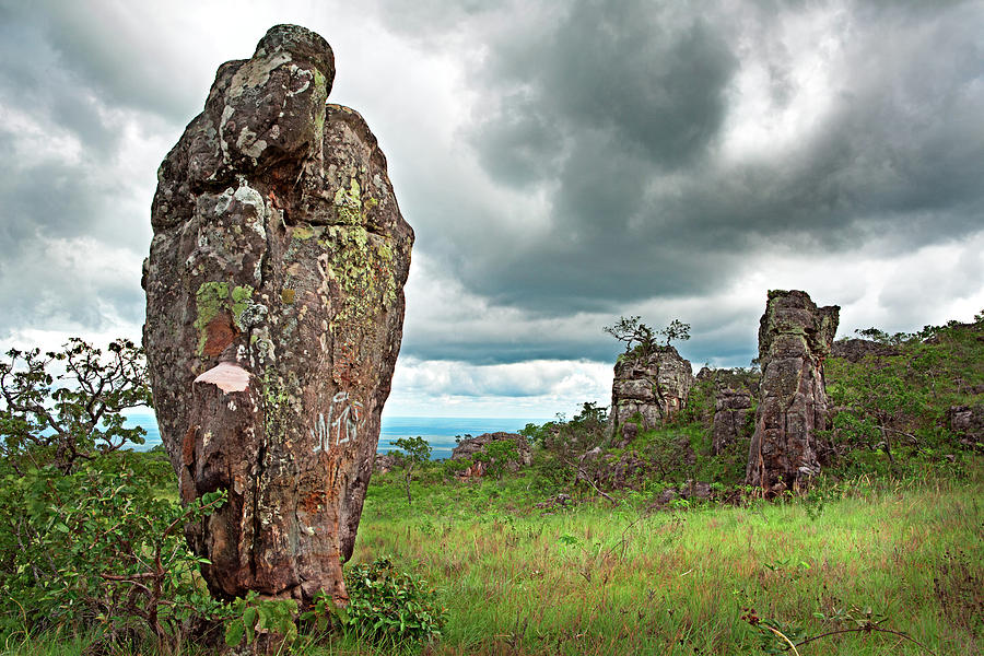 Granite monolith in tropical savanna La Chiquitania Bolivia Photograph by Dirk Ercken
