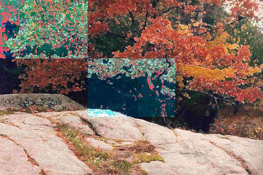 Granite Outcrop and Fall Leaves AEP2 Photograph by Lyle Crump