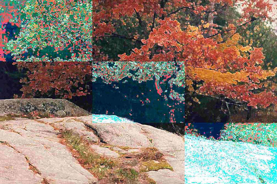 Granite Outcrop and Fall Leaves AEP3 Photograph by Lyle Crump