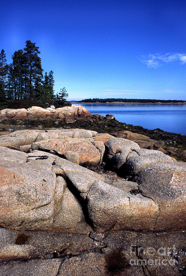 Granite Shoreline Deer Isle Maine Photograph by Thomas R Fletcher