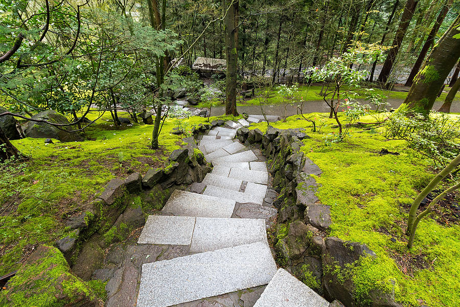 Granite Stone Steps along Mossy Green Landscape Photograph by Jit Lim ...