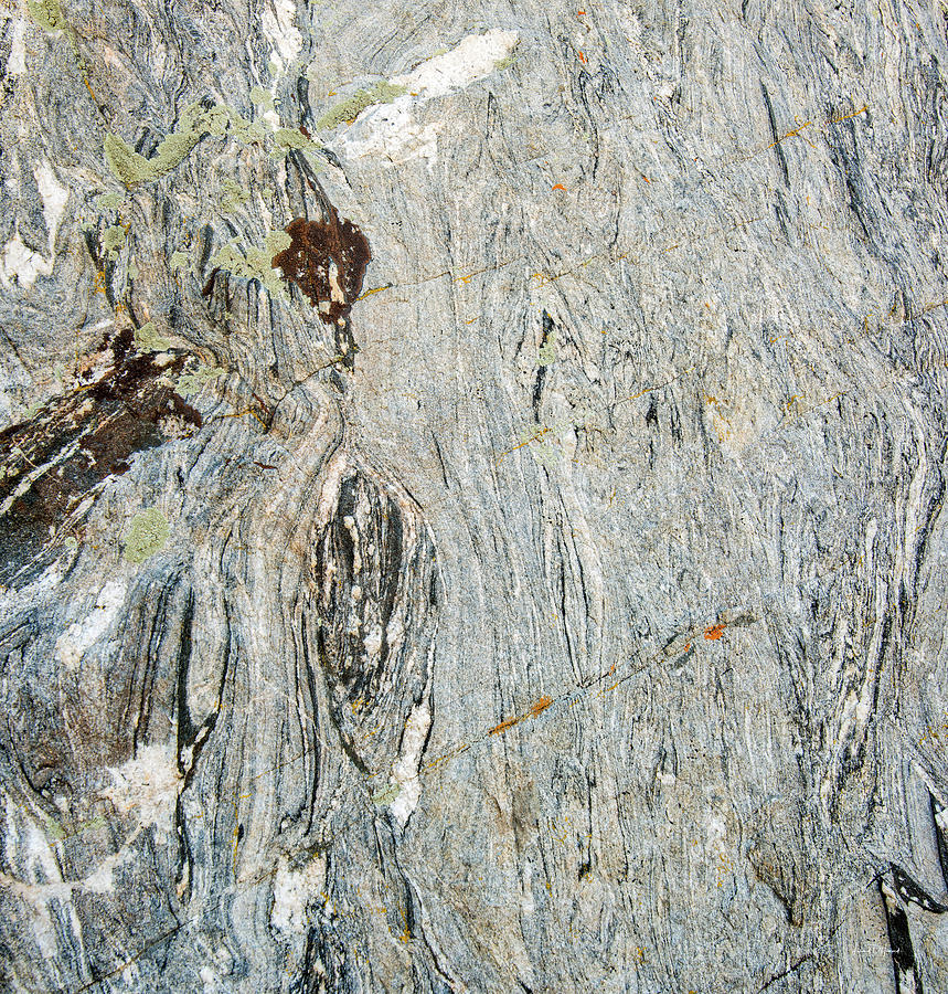 Granite Texture Photograph by Leland D Howard