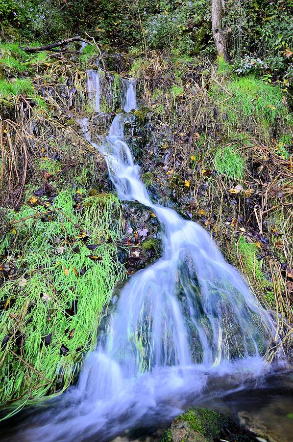 Grannis Spring Photograph by Bonfire Photography