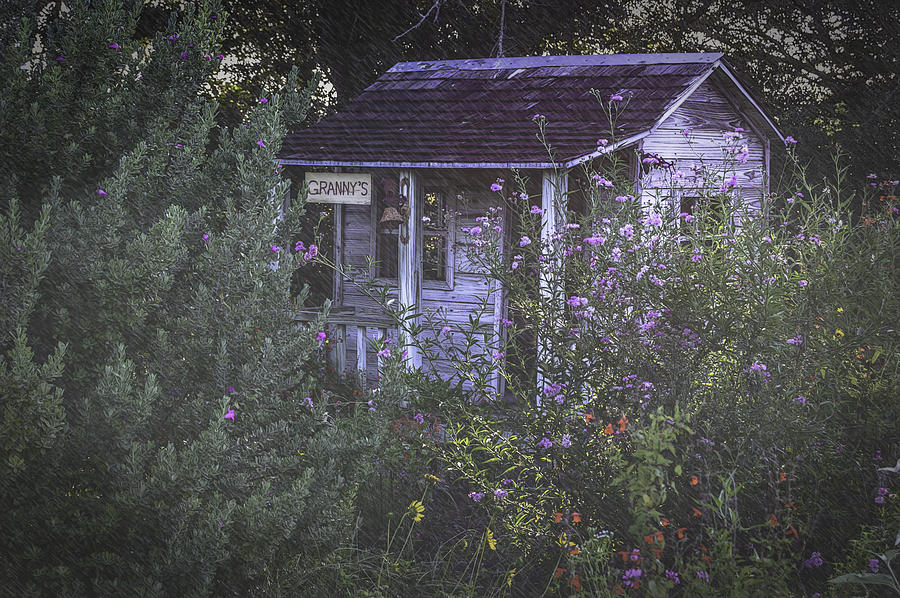Grannys Garden  House  Photograph by Leticia Latocki
