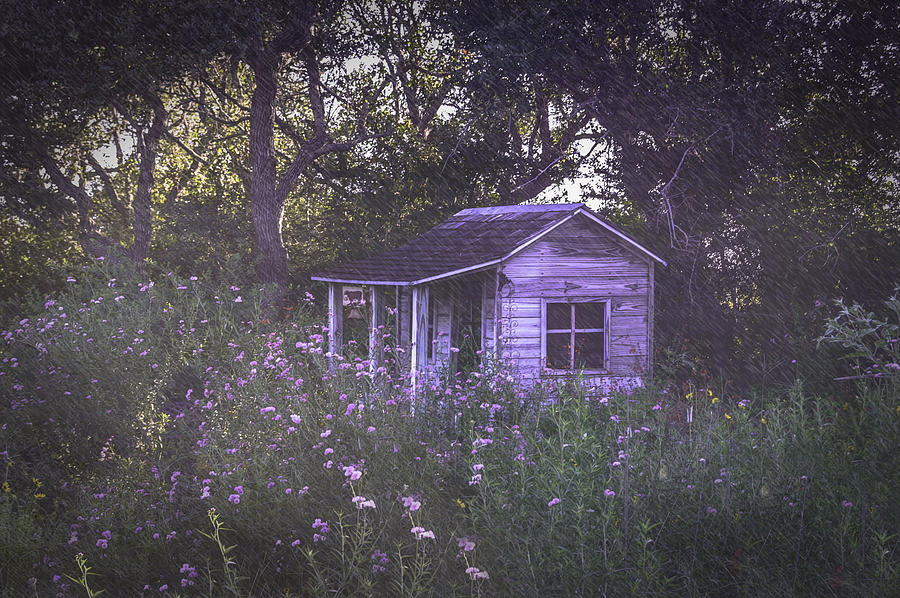 Grannys House In The Garden Photograph by Leticia Latocki