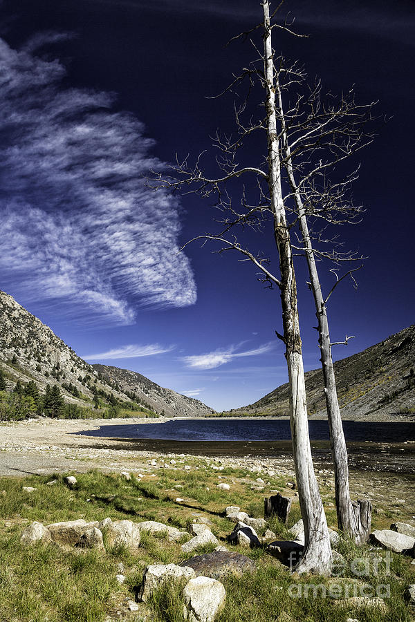 Grant Lake California 1 Photograph by Timothy Hacker