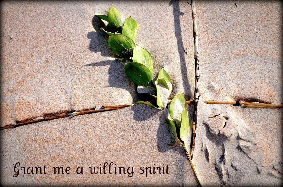 Beach Photograph - Grant me a willing spirit by Laura Ogrodnik