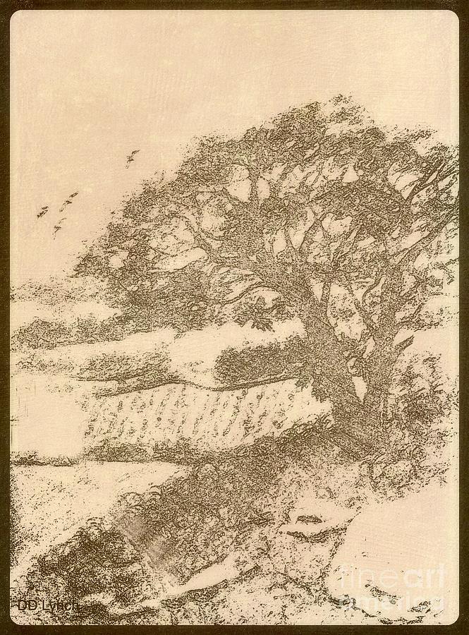 Bird Drawing - Grape Arbor on Brown by Debra Lynch