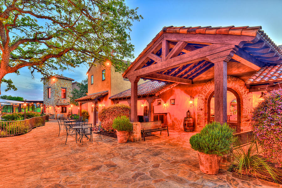 Grape Creek Vineyards - Texas Hill Country Photograph by Miguel Lecuona ...