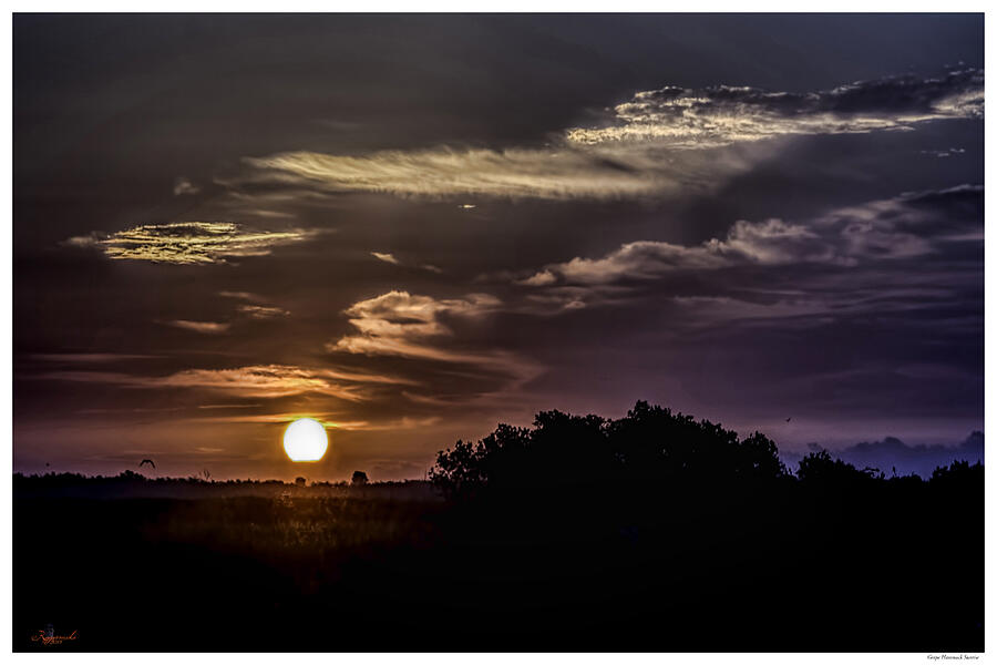 Grape Hammock Sunrise II #2 Photograph by Rogermike Wilson