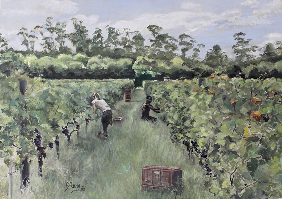 Grape harvest Painting by Guillermo Mara - Fine Art America