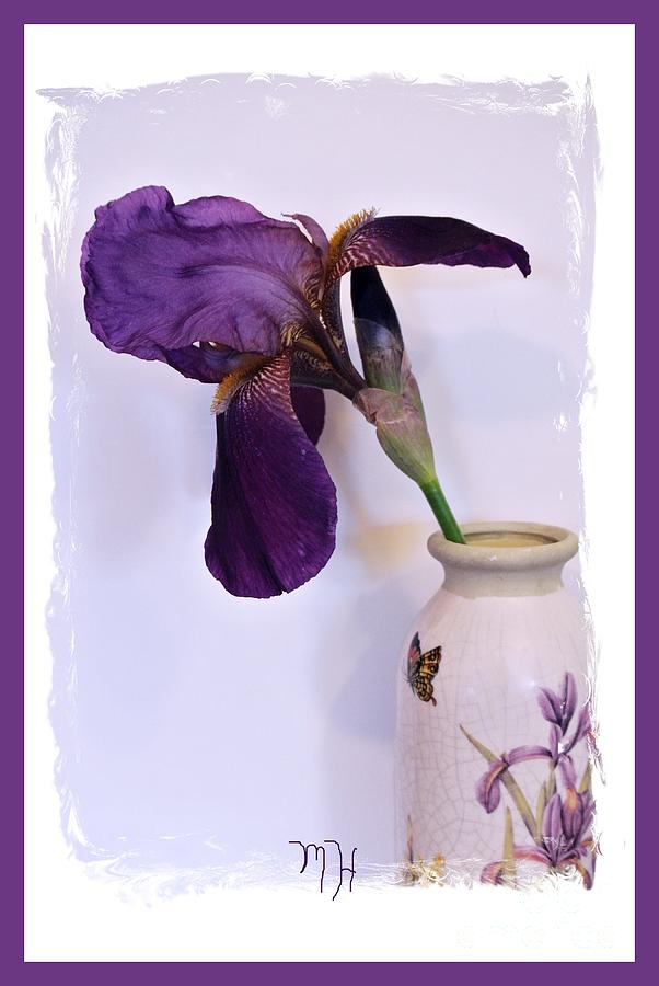 Grape Iris in a Vase Photograph by Marsha Heiken