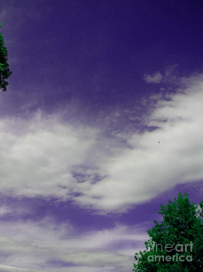 Clouds Photograph - Grape Koolaid Sky by Sherri Williams