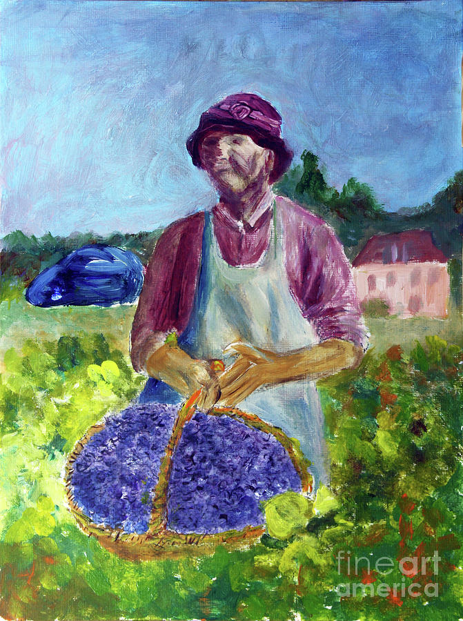 Grape Picker Painting by Donna Walsh