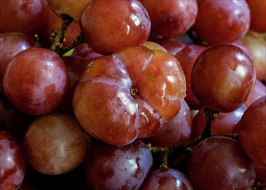 Grape Still Life Photograph by Robert Ullmann