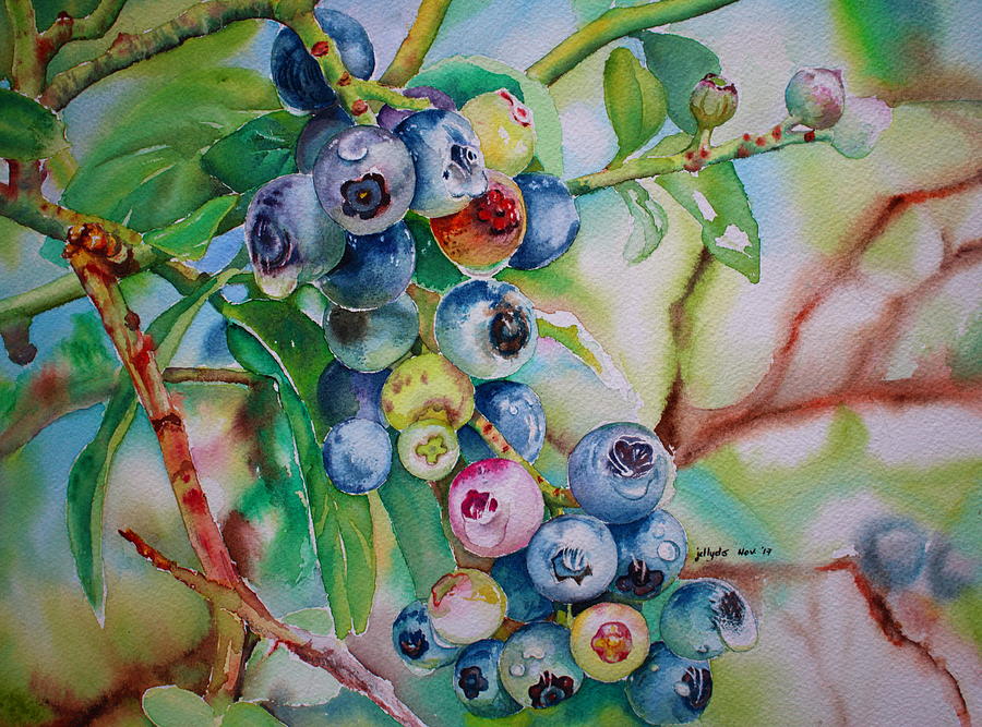 Fruit Painting - Blueberries by Jelly Starnes