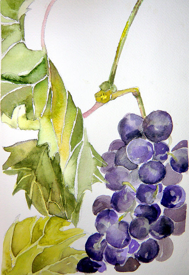 Grape Vine Painting by Mindy Newman