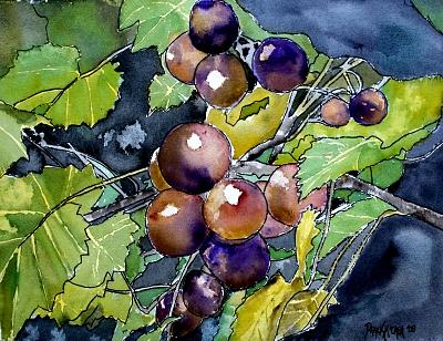 Grape Painting - Grape Vine Still Life by Derek Mccrea