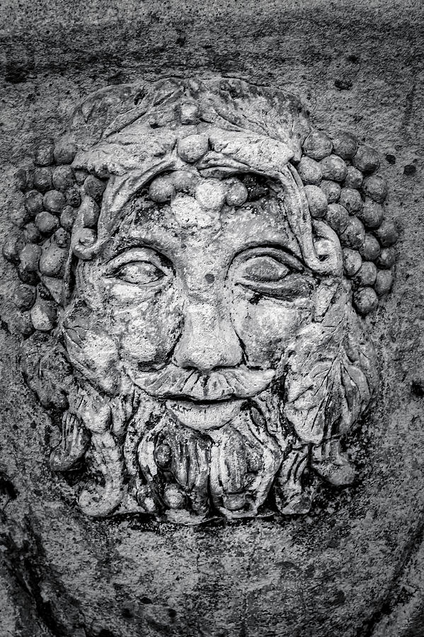 Wine Photograph - Grape Wine Face by Garry Gay