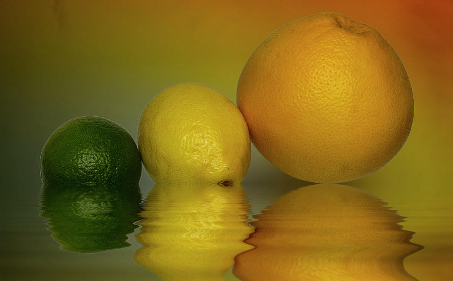 Grapefruit Lemon and Lime Citrus Fruit Photograph by David French