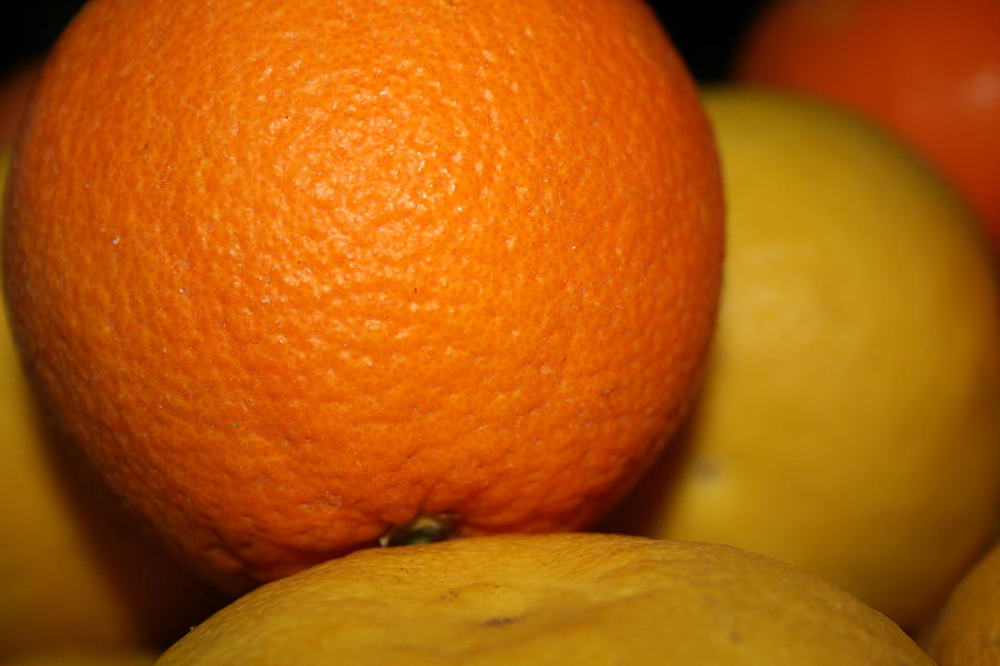 Grapefruit Photograph - Grapefruit Orange by Joshua Sunday