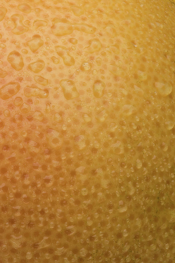 Grapefruit Skin Photograph