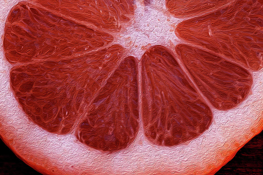 Grapefruit Slice Photograph by Vanessa Thomas