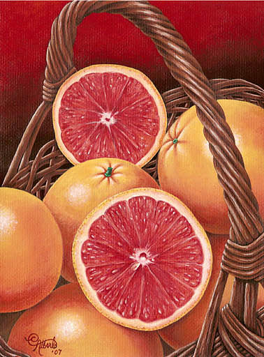 Grapefruits in a basket Painting by Carlos Esquivel Grapefruits in a basket Painting by Carlos Esquivel
